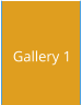 Gallery 1