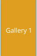 Gallery 1