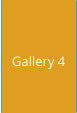 Gallery 4